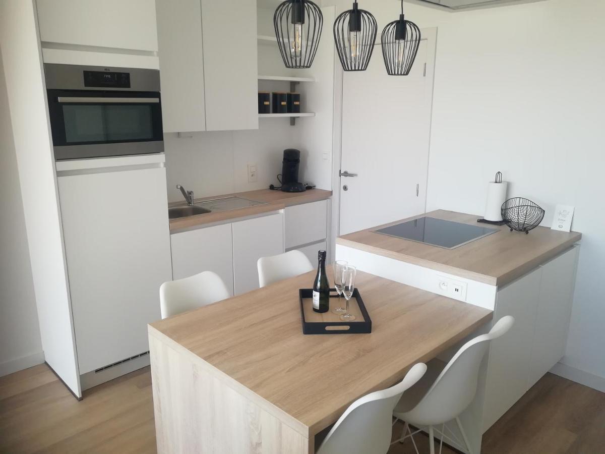 Zeebriesje Apartman Oostduinkerke Kültér fotó